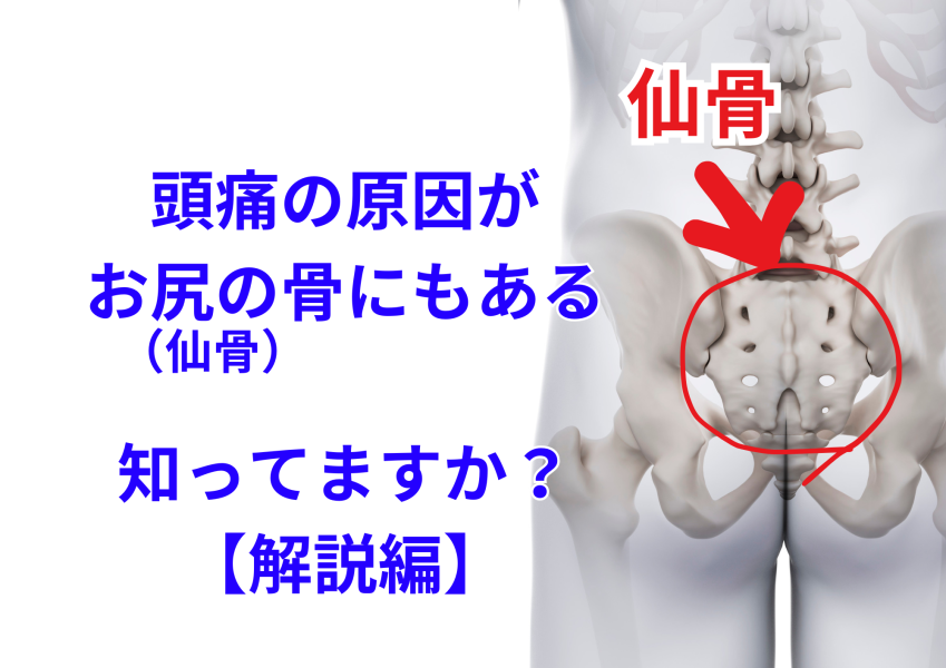 頭痛の原因はお尻の骨にあった？頭痛は松戸のふくます整体院