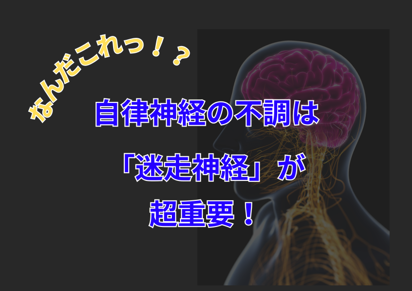 迷走神経って何者？頭痛や朝の不調の原因　北松戸のふくます整体院